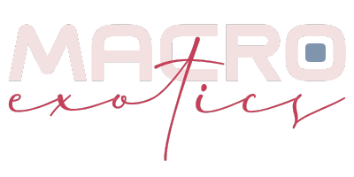 MacroExotics Logo